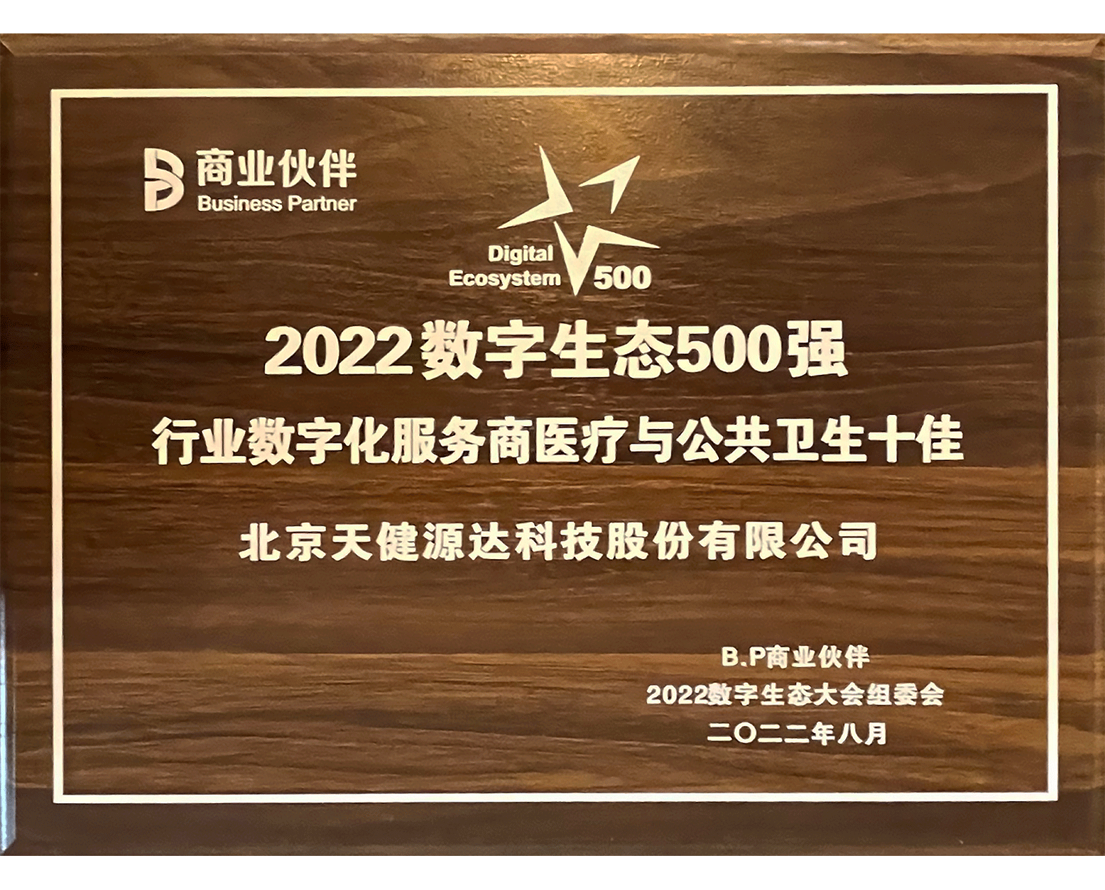 2022數字生態500強 行業數字化服務商醫療與公共衛生十佳 2022數字生態500強 行業數字化服務商醫療與公共衛生十佳